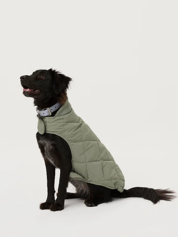 comfortable zip jackets for women -The Skyline Dog Jacket in Vetiver Green